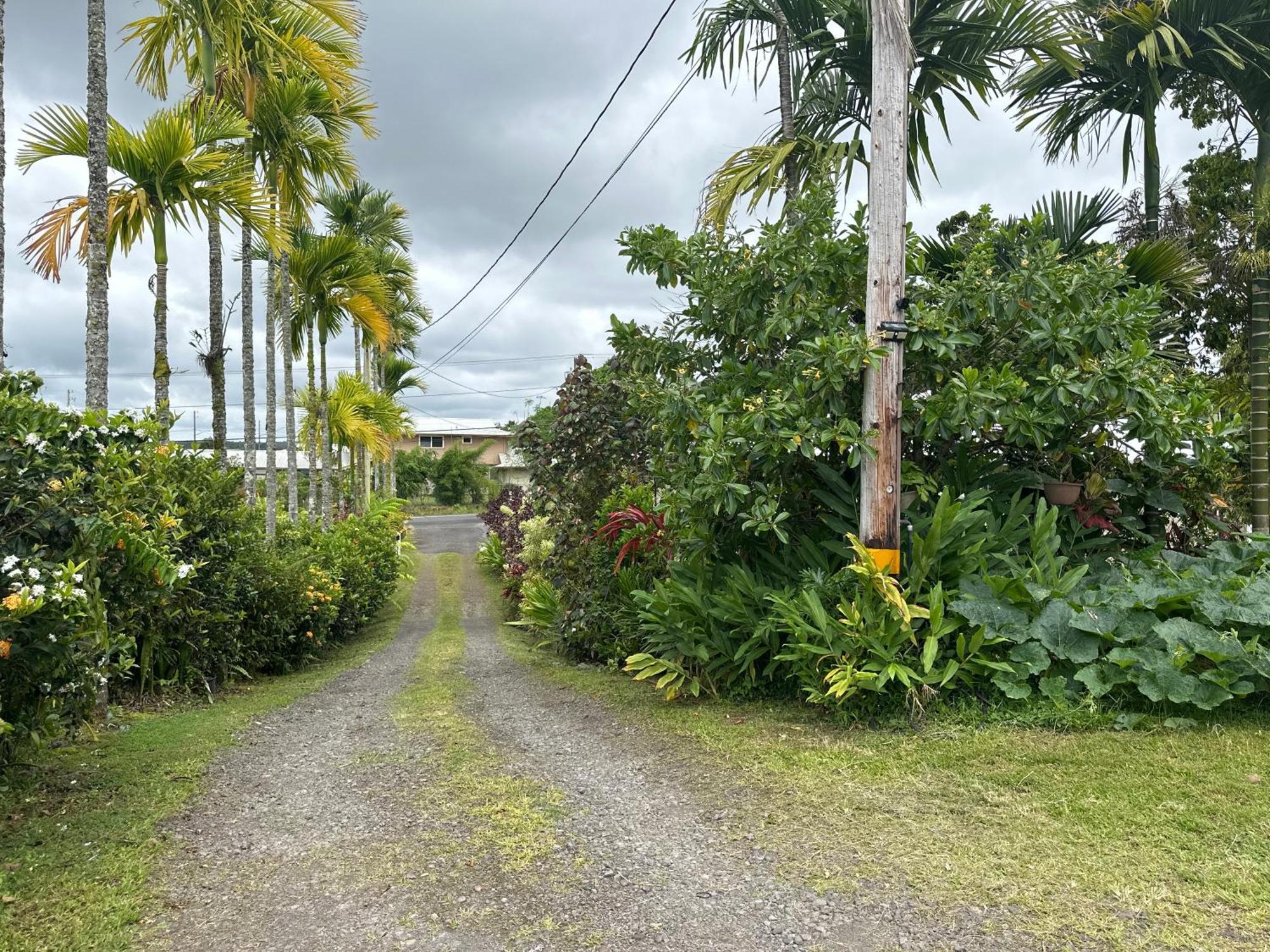 Hawaiian Ohana Home ฮิโล ภายนอก รูปภาพ