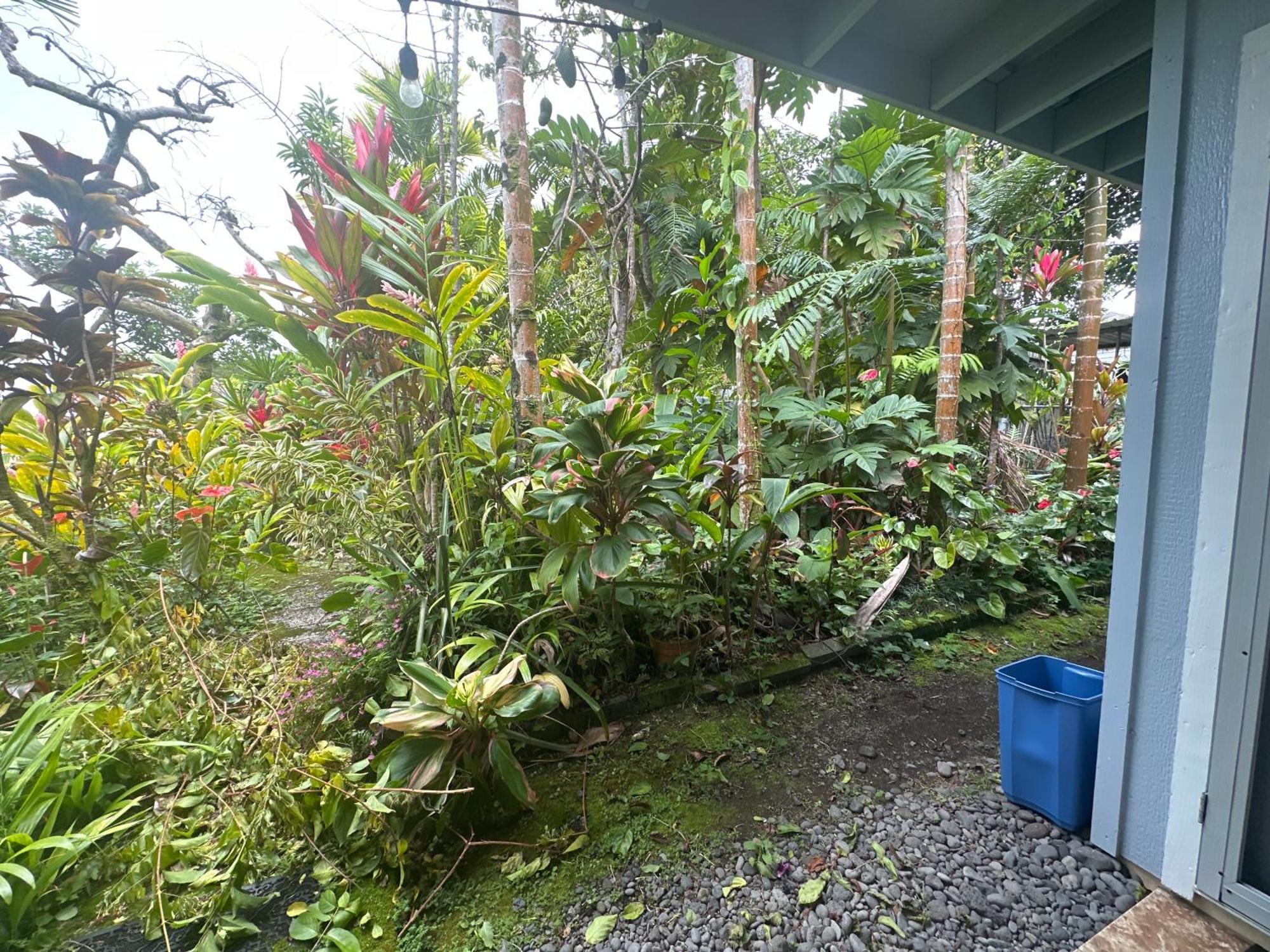 Hawaiian Ohana Home ฮิโล ภายนอก รูปภาพ