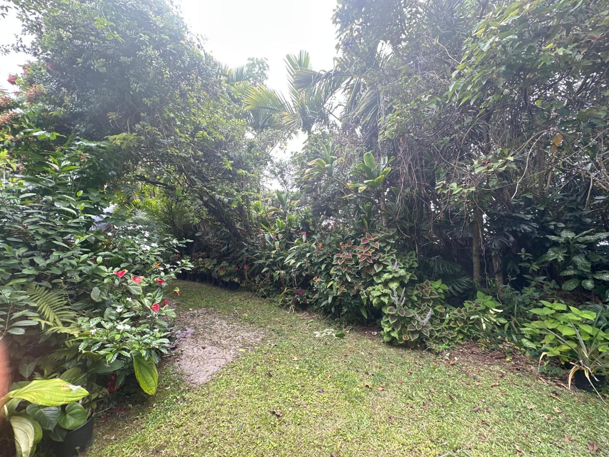 Hawaiian Ohana Home ฮิโล ภายนอก รูปภาพ