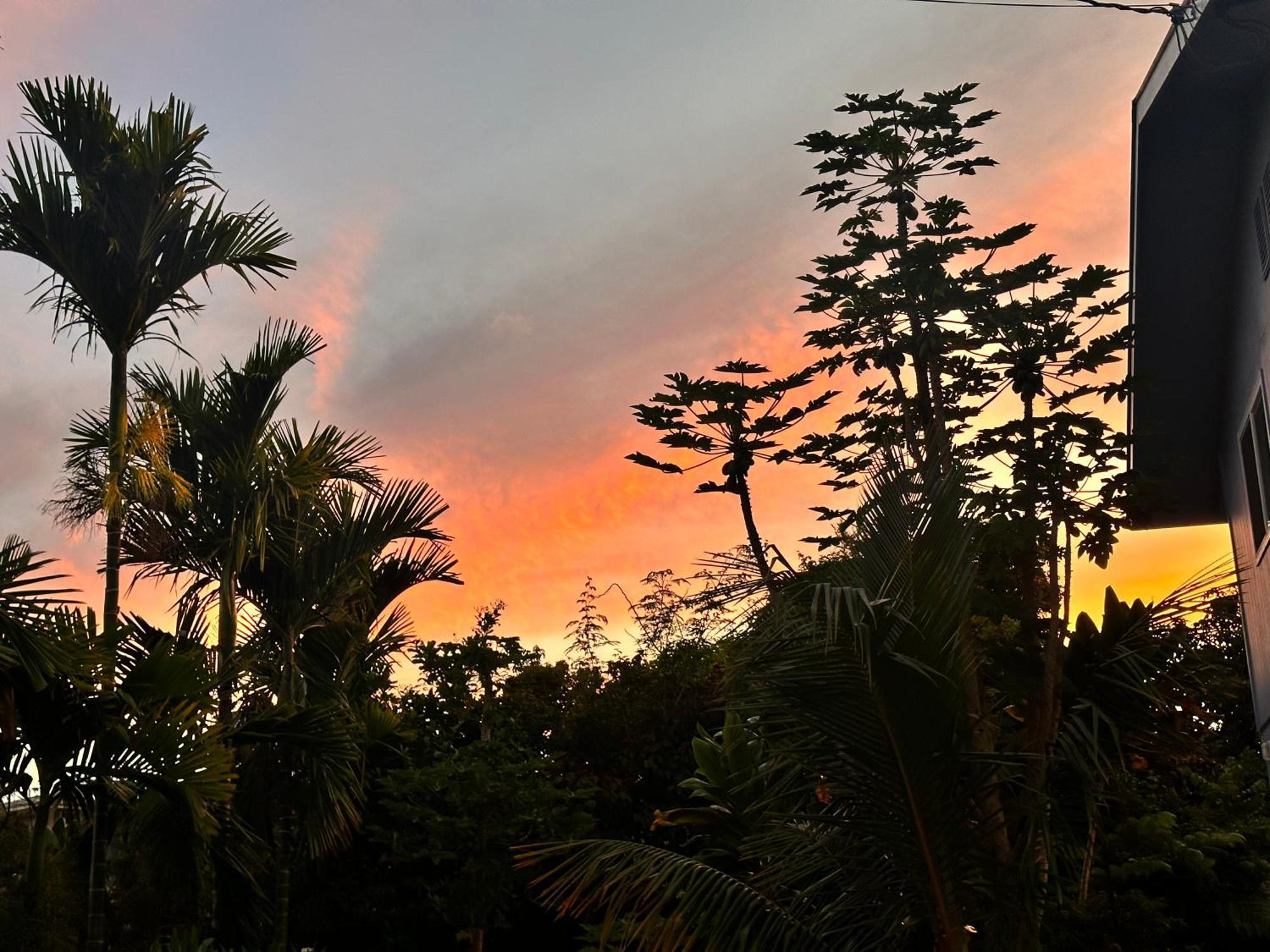 Hawaiian Ohana Home ฮิโล ภายนอก รูปภาพ